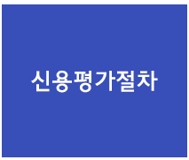 특수(정밀)평가